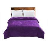 DreamZ 320GSM 220x160cm Ultra Soft Mink Aubergine Single-1919892914209689600