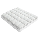 Dreamz Pillowtop Mattress Topper thickness 5cm-1910112192850694145