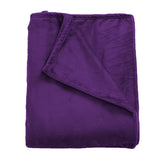 DreamZ 320GSM 220x160cm Ultra Soft Mink Aubergine Single-1919892914209689601