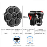 Centra Punching Box With 12OZ Boxing Glove Black-1937319779346026498