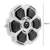 Centra Electronic Punching Box Music Machine Wall Mounted Bluetooth 9 Speeds-1919892811541516290