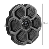 Centra Electronic Punching Box Music Machine Wall Mounted Bluetooth 9 Speeds-1919892811356966914