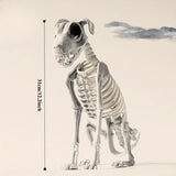 NNETM Halloween Dog Skeleton Decoration