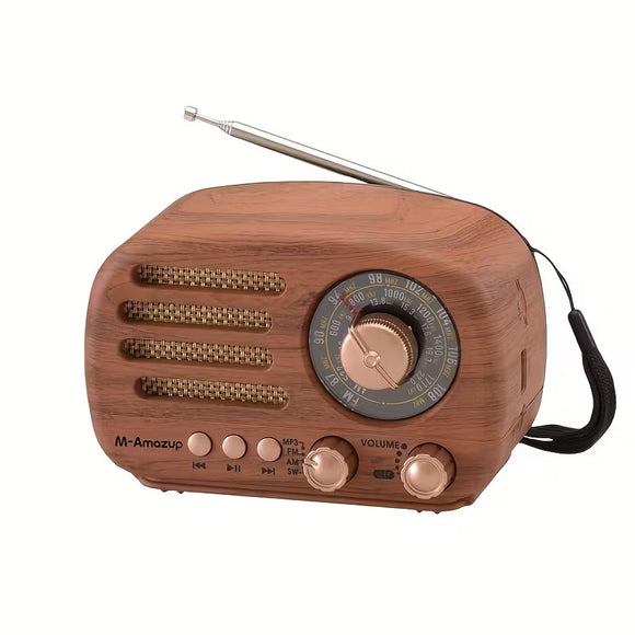 NNETM Portable AM/FM/SW Multifunctional Radio