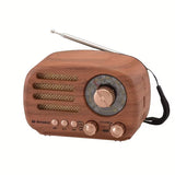 NNETM Portable AM/FM/SW Multifunctional Radio