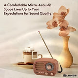 NNETM Portable AM/FM/SW Multifunctional Radio