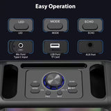 NNETM Portable Karaoke Speaker with 2 Wireless Microphones