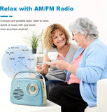 NNETM Portable USB/SD Card Bluetooth Radio Speaker