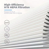 NNETM Air Purifier with HEPA & Carbon Filter for Home