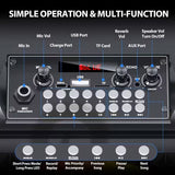 NNETM 20W Portable Karaoke Speaker with Dual Wireless Mics