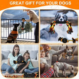 NNETM Dog Chew Toys for Small Breeds Rubber (6pcs)