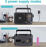 NNETM AM/FM Transistor Radio with USB Charging