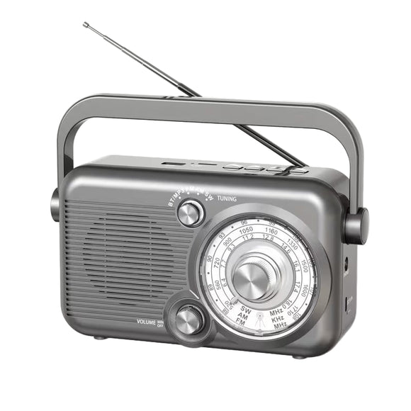 NNETM Portable AM/FM/SW Radio with USB & TF Playback