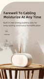 NNETM Dual-Mist Humidifier & Air Purifier