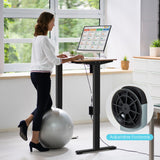 NNECW Electric Dual-Motor Stand up Desk Frame with Memory Controller for Home Office-Black