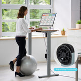 NNECW Electric Dual-Motor Stand up Desk Frame with Memory Controller for Home Office-Grey