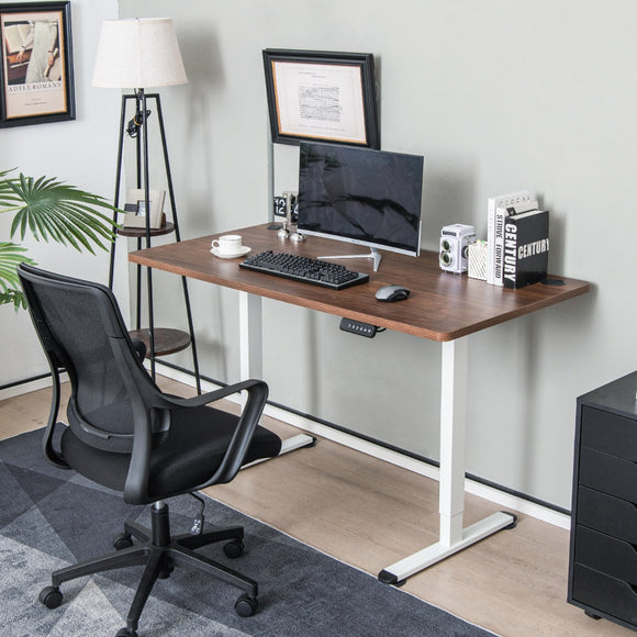 NNECW Electric Dual-Motor Stand up Desk Frame with Memory Controller for Home Office-White