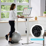 NNECW Electric Dual-Motor Stand up Desk Frame with Memory Controller for Home Office-White