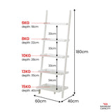 NNEDPE Aster 5-Tier Ladder Shelf - White