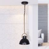 NNEDPE Black and Gold Pendant Light