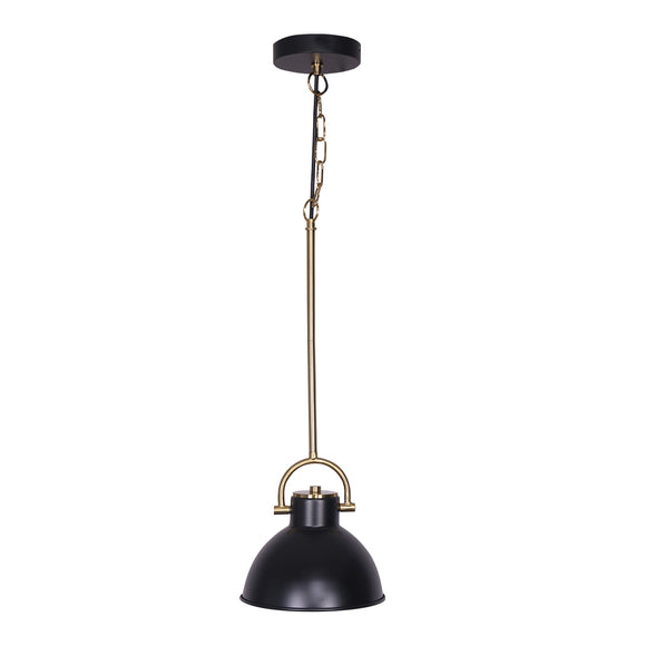 NNEDPE Black and Gold Pendant Light