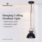 NNEDPE Black and Gold Pendant Light