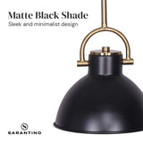 NNEDPE Black and Gold Pendant Light