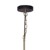 NNEDPE Black and Gold Pendant Light