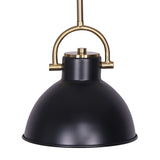 NNEDPE Black and Gold Pendant Light