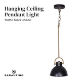 NNEDPE Black and Gold Pendant Light