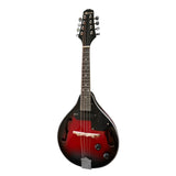 NNEDPE 8-String Electric Mandolin Guitar - Red Black