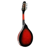 NNEDPE 8-String Electric Mandolin Guitar - Red Black