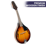 NNEDPE Traditional Mandolin Guitar - Sunburst