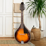NNEDPE Traditional Mandolin Guitar - Sunburst