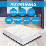 NNEDPE Bamboo Mattress Protector- King