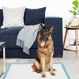 NNECW Pet Pee pads with 5-Layer Design of 4 Sizes-Size 4