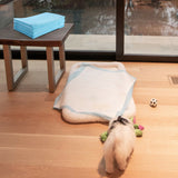 NNECW 150 Pieces Extra Large Dog Pee pads with Super Absorbent for Doggies