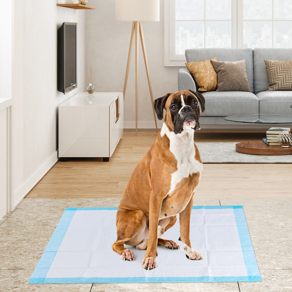NNECW Pet Pee pads with 5-Layer Design of 4 Sizes-Size 4
