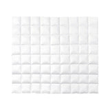 NNEDPE 500GSM Duck Down Feather Quilt Comforter Doona - Queen