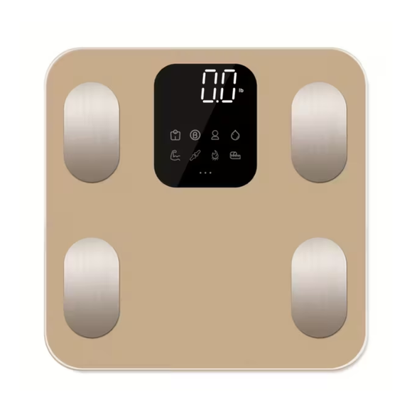 NNETM Digital Weight Scale with LED Display