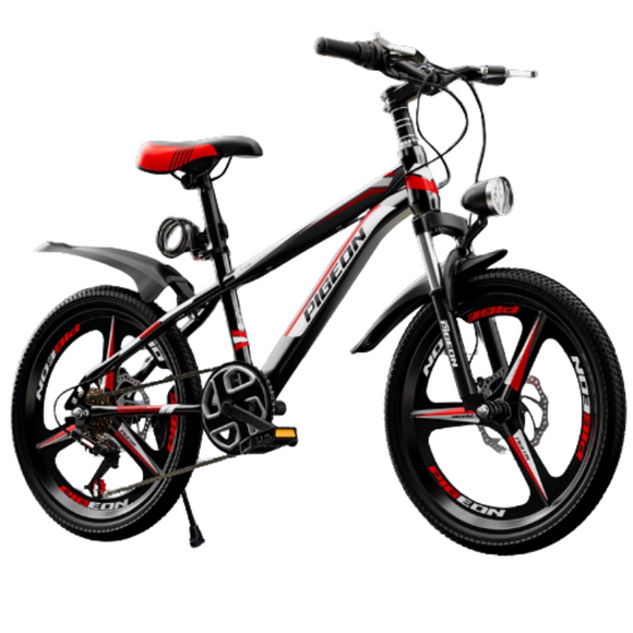 NNETB Kids Mountain Bike Dual Disc Red Bicycle (24-Inch)