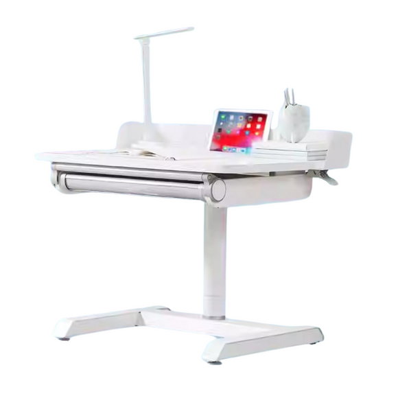 NNETB Liftable Student Desk Adjustable Computer Writing Table