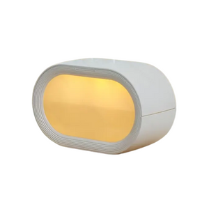NNETM Dual-Mist Humidifier & Air Purifier