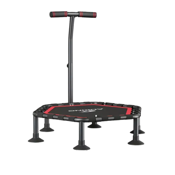NNETM Indoor Fitness Trampoline with Handrail