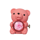 NNEOBA Eternal Rose Teddy Bear Jewelry Box Gift