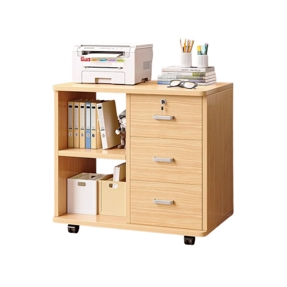 NNETB Office Filing Cabinet with Drawers and Door