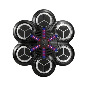 NNETM Music Boxing Trainer Wall Target with USB Charging