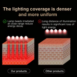 NNETM Facial Beauty Device Portable Skincare (7-Color Light)