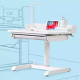 NNETB Liftable Student Desk Adjustable Computer Writing Table