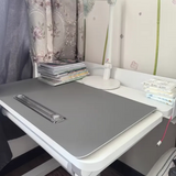 NNETB Liftable Student Desk Adjustable Computer Writing Table